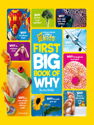 cover image of National Geographic Little Kids First Big Book of Why